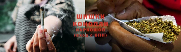 мдпв Богородицк