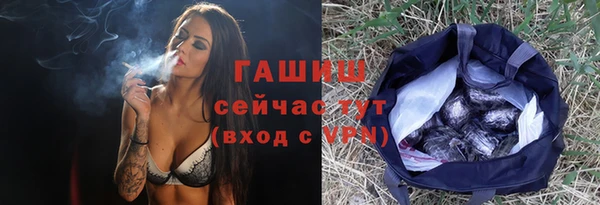 мдпв Богородицк