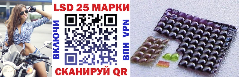 дарнет шоп  Кировск  Марки N-bome 1500мкг 