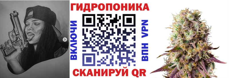Шишки марихуана VHQ  Кировск 